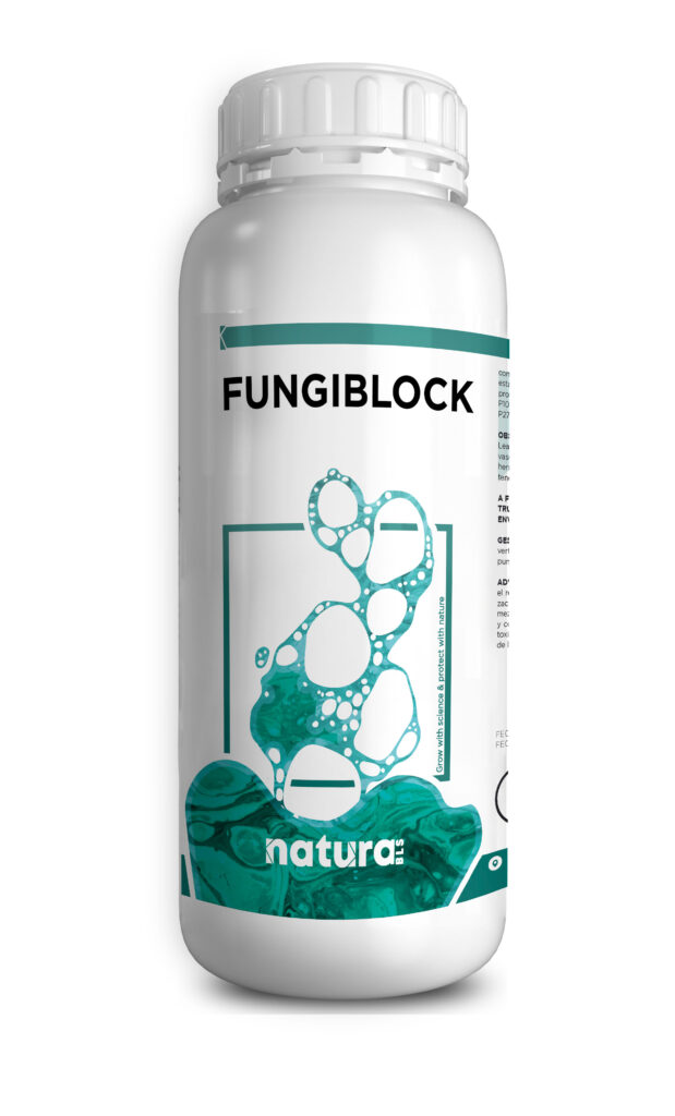 FUNGIBLOCK