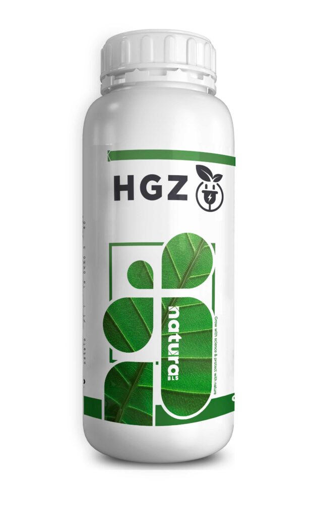 HGZ