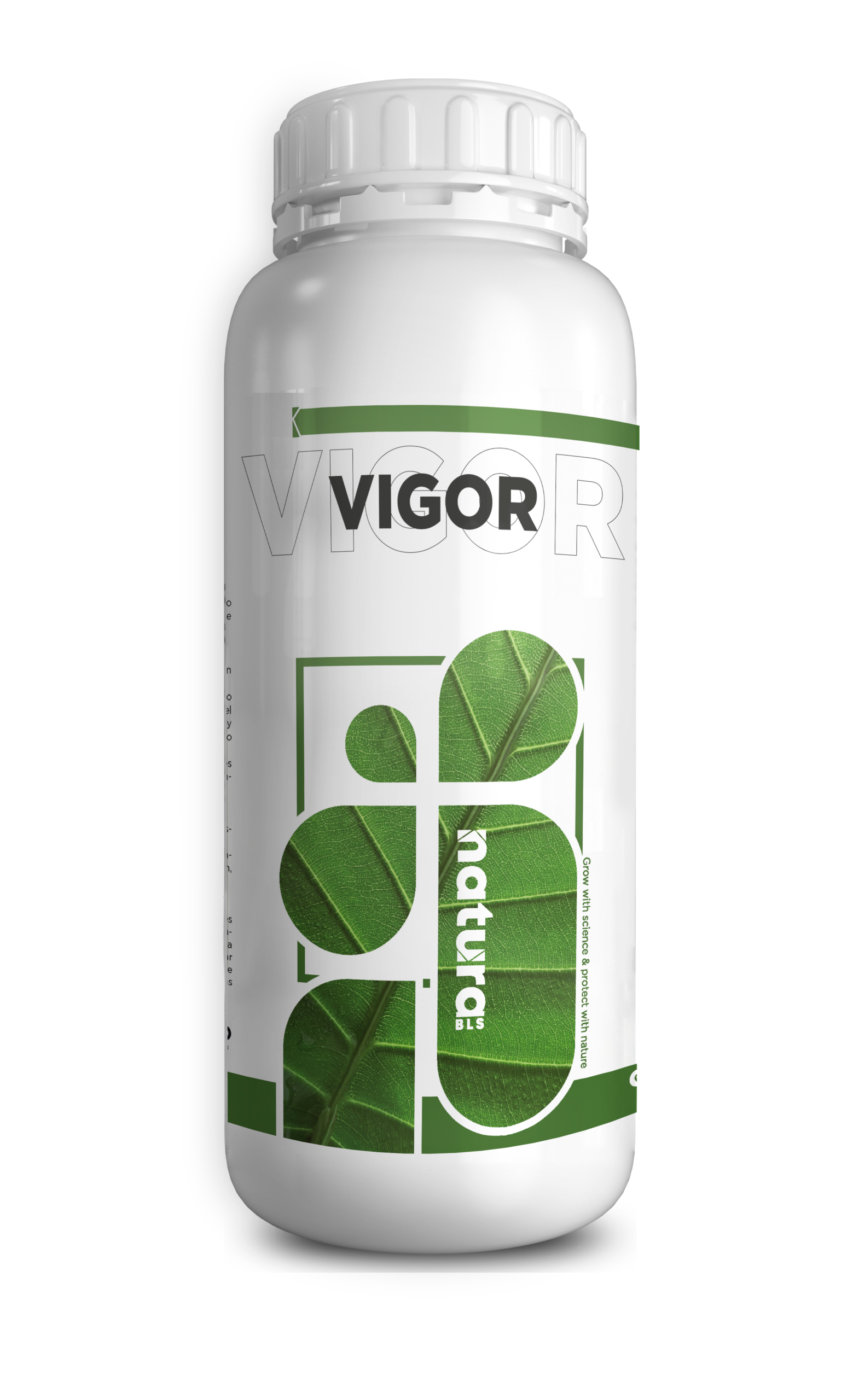 VIGOR