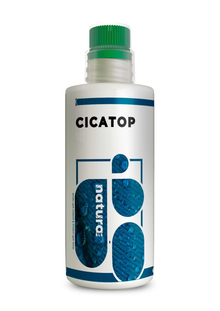 CICATOP