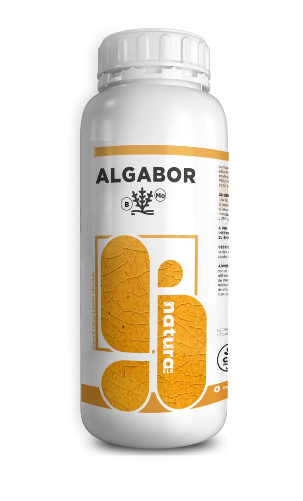 ALGABOR