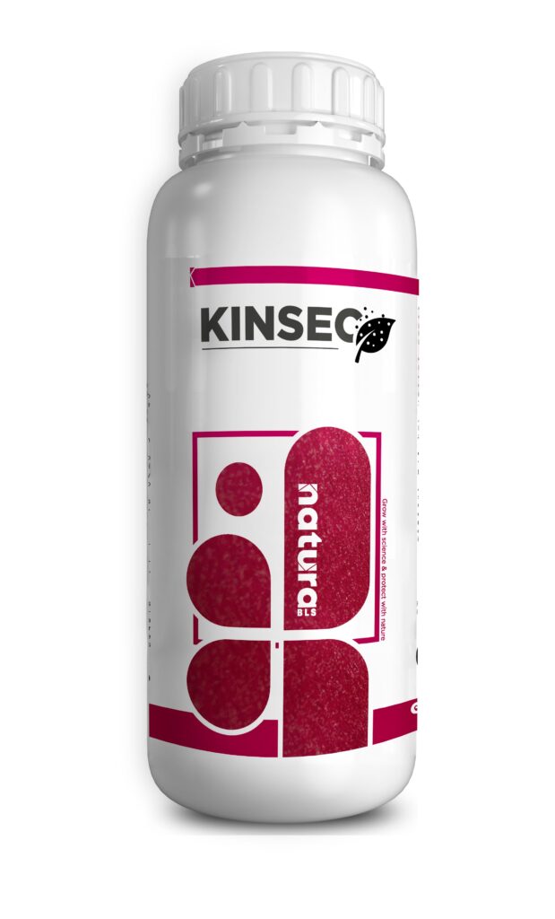 KINSEC